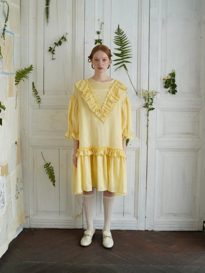 Unlogical Poem V-neck Ruffled Silhouette Embroidered Dress