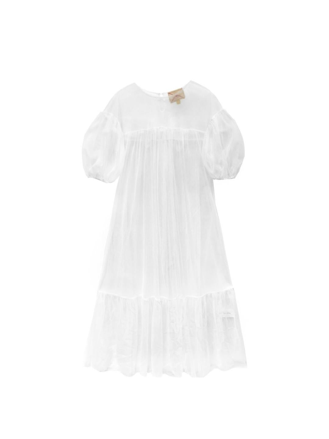 Unlogical Poem Victorian Style Mesh Dress