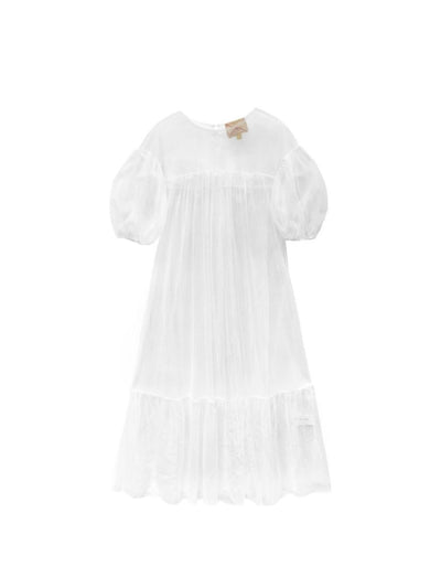 Unlogical Poem Victorian Style Mesh Dress