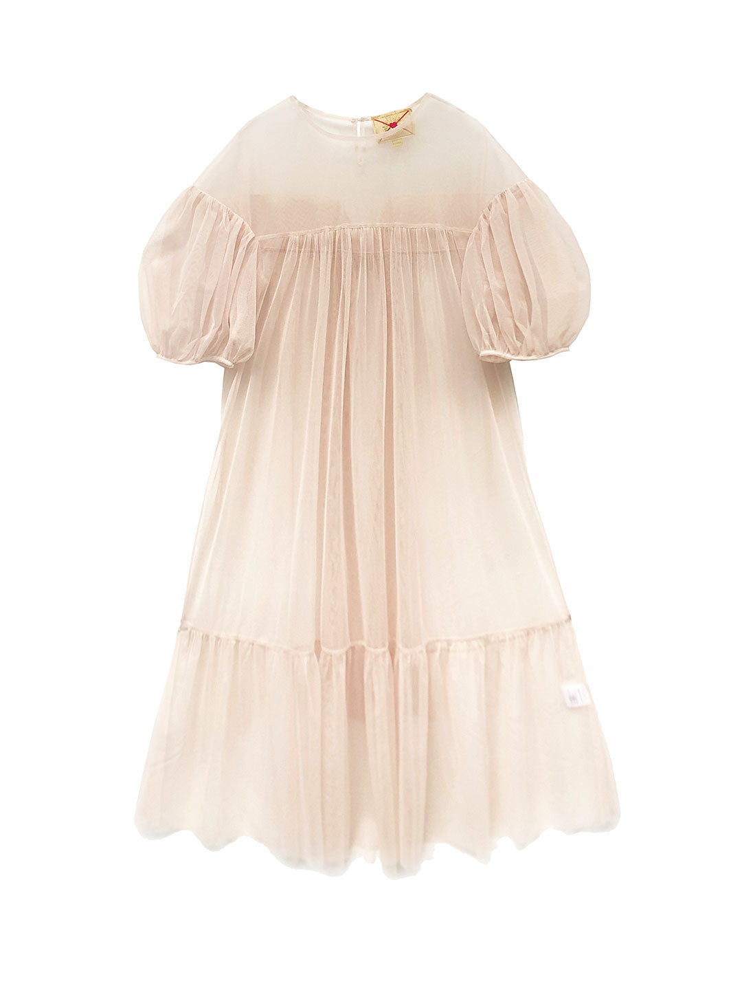 Unlogical Poem Vintage Style Mesh Dress