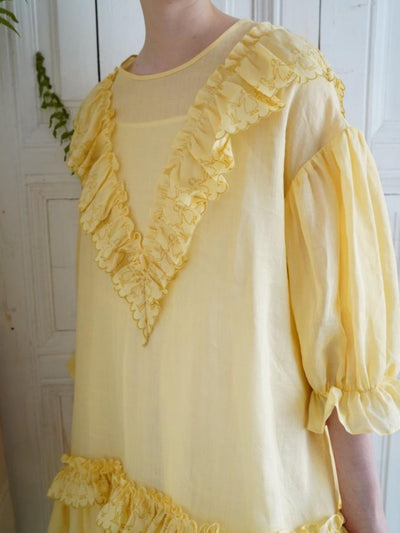Unlogical Poem V-neck Ruffled Silhouette Embroidered Dress
