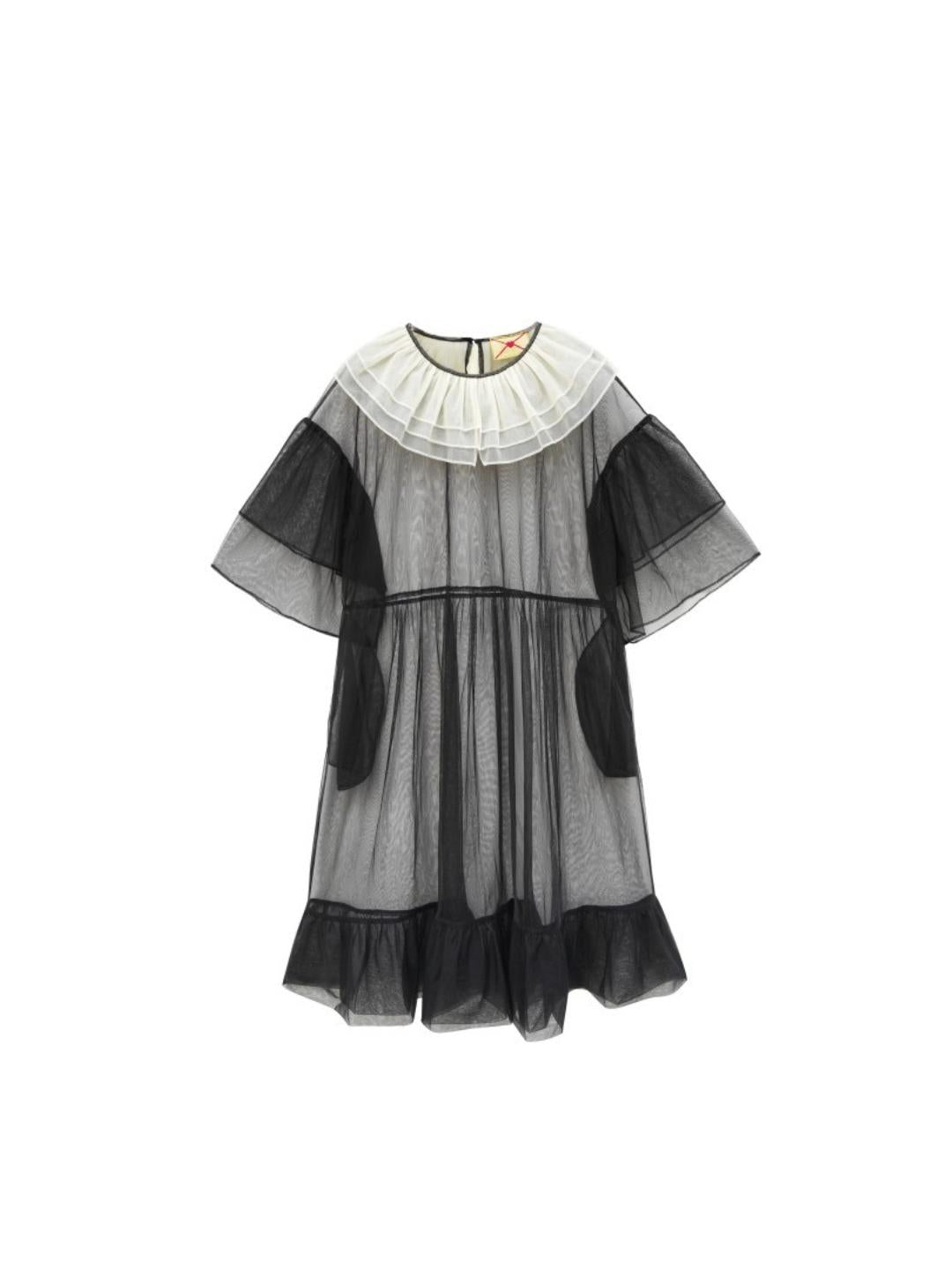 Unlogical Poem  Stylish Playful Ruffled Collar Mesh Print Dress