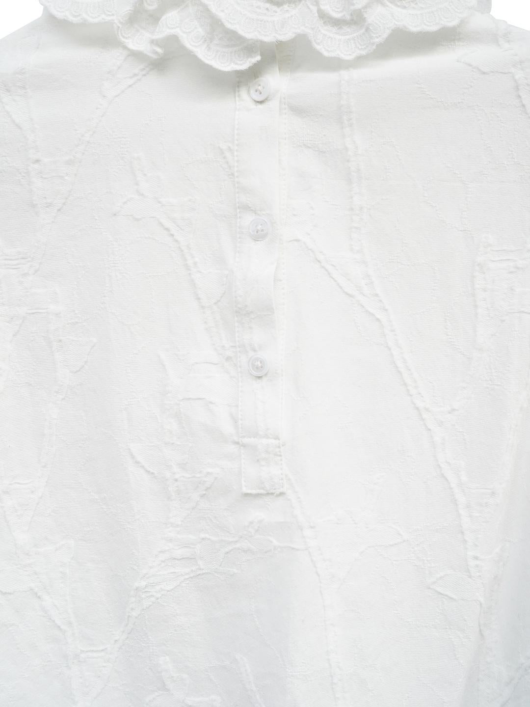 Unlogical Poem Victorian-style Cat Hollow Embroidery Cotton Blouse