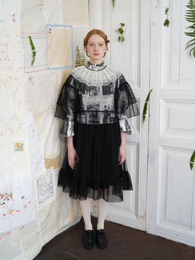 Unlogical Poem  Stylish Playful Ruffled Collar Mesh Print Dress