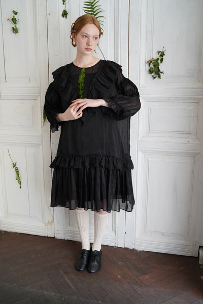 Unlogical Poem V-neck Ruffled Silhouette Embroidered Dress