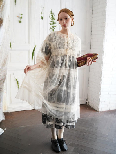 Unlogical Poem Versatile Mesh Layered Overlay Dress (Multi Color)