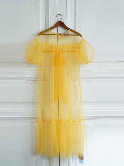 Unlogical Poem Victorian Style Mesh Dress