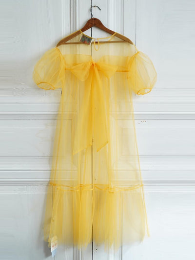 Unlogical Poem Victorian Style Mesh Dress