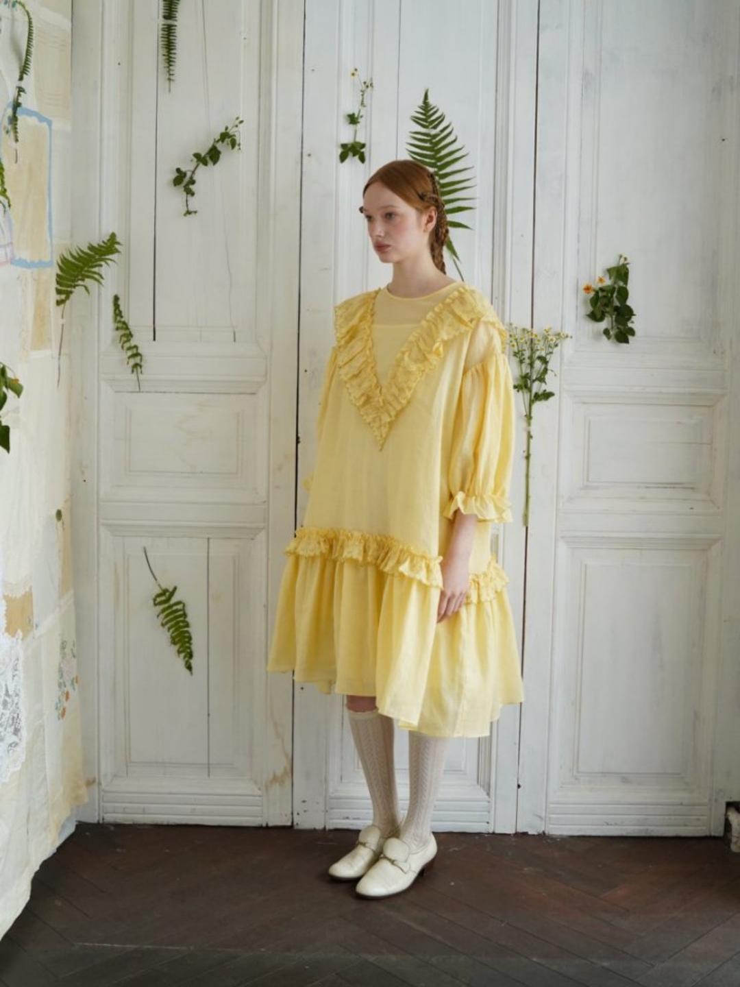 Unlogical Poem V-neck Ruffled Silhouette Embroidered Dress