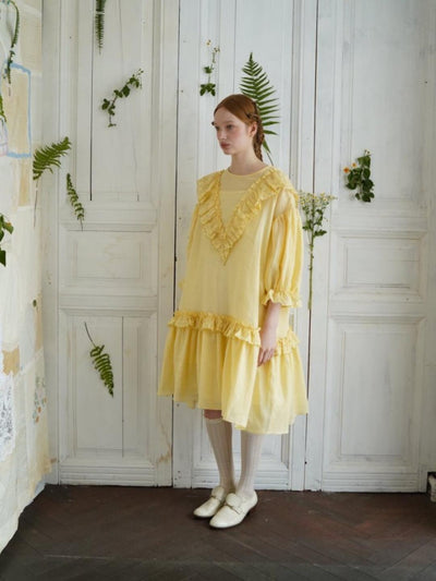 Unlogical Poem V-neck Ruffled Silhouette Embroidered Dress