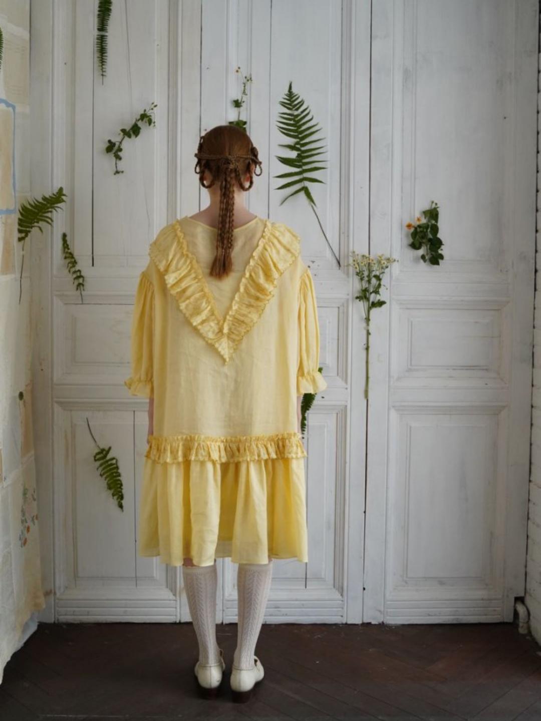 Unlogical Poem V-neck Ruffled Silhouette Embroidered Dress