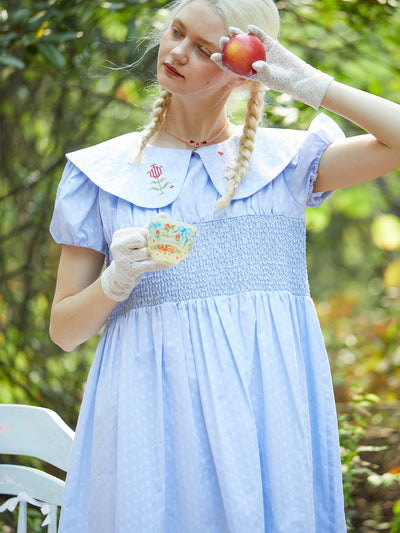 Unlogical Poem Vintage Cotton Embroidery Doll Collar Dresse